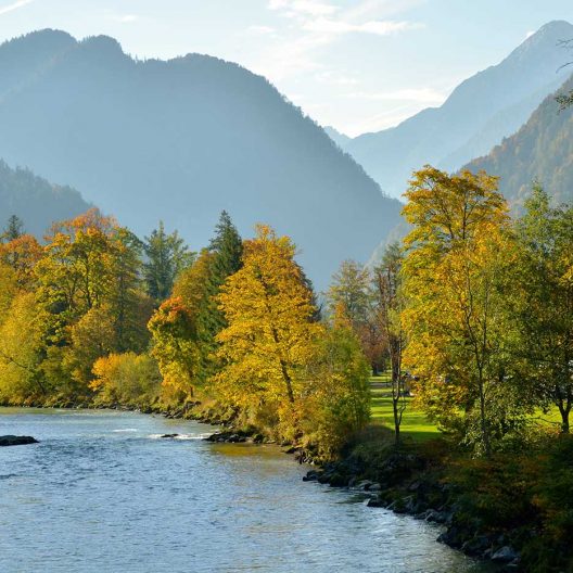 Herbst-Wanderung im Saalachtal mit Fluss