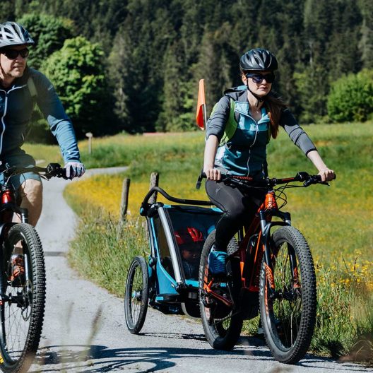 Biken E-Bike Familie Sommer Wiese Berge
