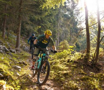 Biken Mountainbike E-Bike Sommer Wald Trail