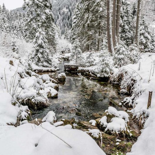 Winterlandschaft Wald Schnee Bach