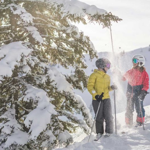 Winter Skifahren Baum Schnee Kinder